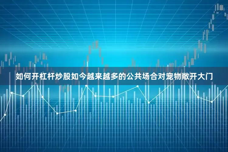 如何开杠杆炒股如今越来越多的公共场合对宠物敞开大门