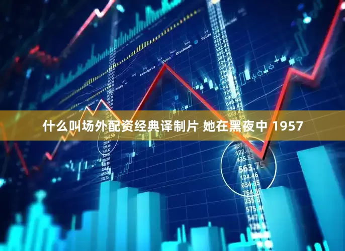 什么叫场外配资经典译制片 她在黑夜中 1957