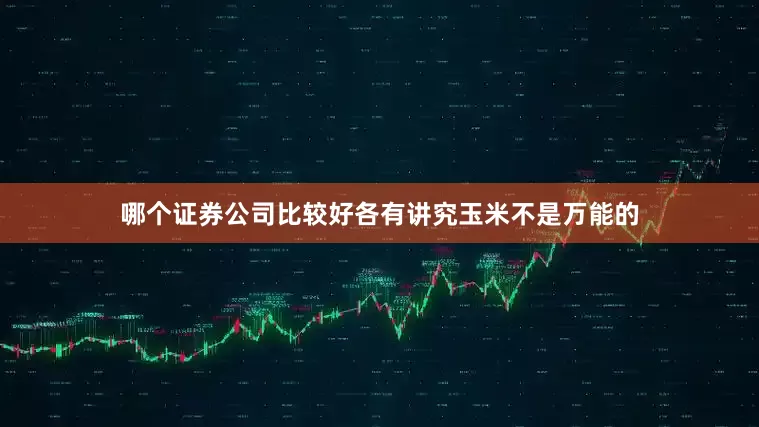 哪个证券公司比较好各有讲究玉米不是万能的