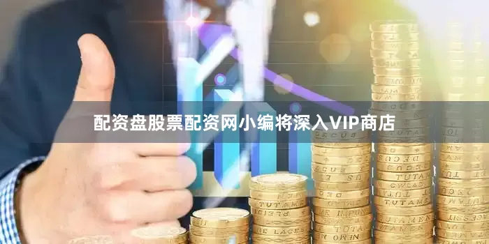 配资盘股票配资网小编将深入VIP商店