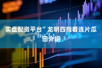实盘配资平台”龙明四指着连片瓜田介绍